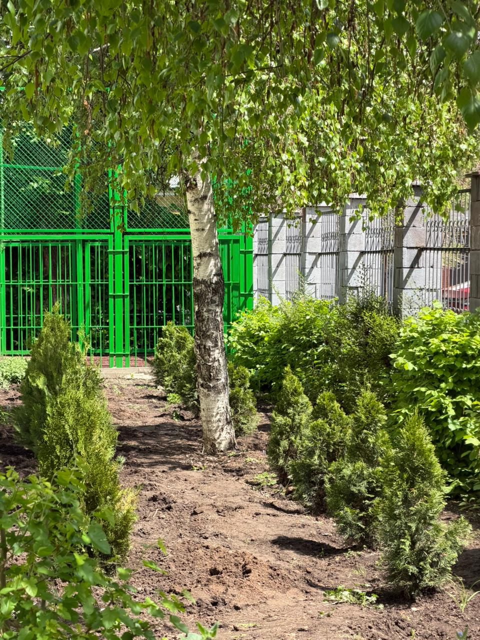 Бүгін, 2026 жылдың 24 сәуірінде мектебіміздің түлектері «Таза Қазақстан» ауқымды экологиялық бастамасына қосылды.